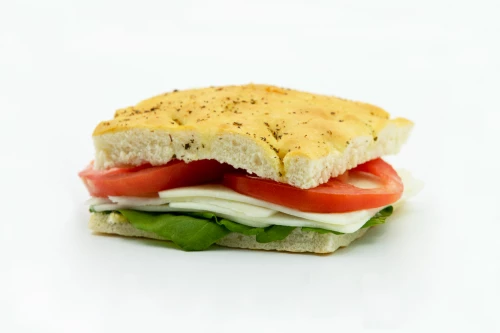 TOMATO MOZARELLA SANDWICH (L)